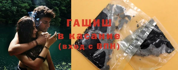 шишки Верея