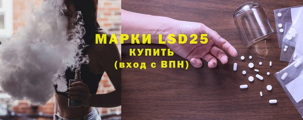 шишки Верея