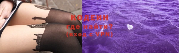 шишки Верея