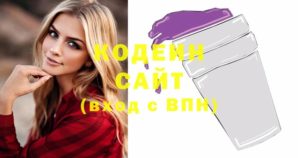 шишки Верея