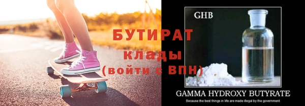шишки Верея