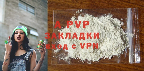 шишки Верея