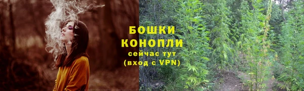 стаф Бородино
