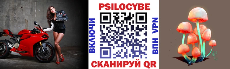 где купить наркотик  Гаврилов Посад  Галлюциногенные грибы ЛСД 
